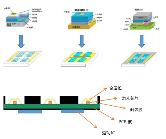 wps819D.tmp.jpg